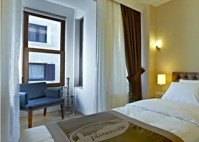 Plussuite Taksim Hotel 3*